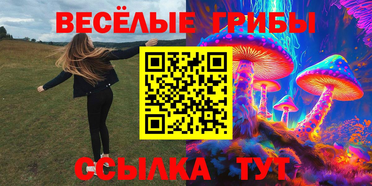 Галлюциногенные грибы MAGIC MUSHROOMS Городец
